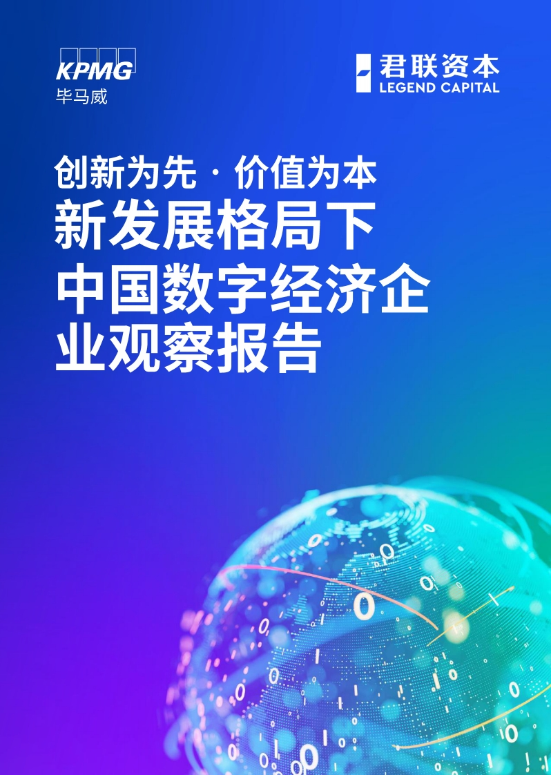 新发展格局下中国数字经济企业观察报告-94页