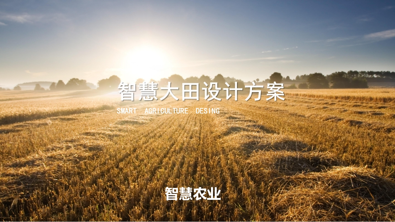 智慧农业解决方案(行业知识)