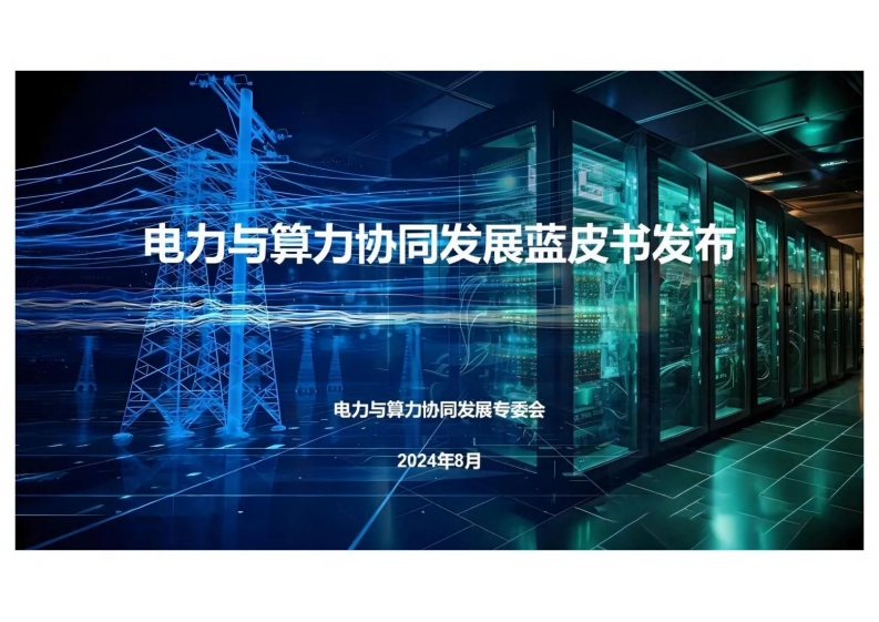 电力与算力协同发展蓝皮书